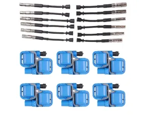 Aceon Set of 6 Blue Performance Plus Ignition Coil with Wire Set Chrysler | Mercedes-Benz 1997-2011