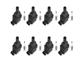Aceon Set of 8 Ignition Coil with Spark Plug Mercedes-Benz 420 | 500 | 600 1996-2002