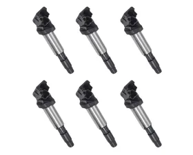 Aceon Set of 6 Ignition Coil BMW 2.5L, 3.0L & 3.2L 2001-2008