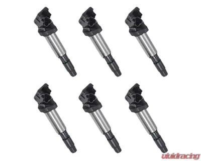 Aceon Set of 6 Ignition Coil BMW 2.5L, 3.0L & 3.2L 2001-2008 - 7805-6251-06