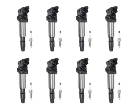 Aceon Set of 8 Ignition Coil with Spark Plug BMW 2.5L, 3.0L & 3.2L 2001-2008