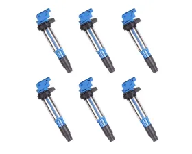Aceon Set of 6 Blue Performance Plus Ignition Coil BMW 2.5L, 3.0L & 3.2L 2001-2008