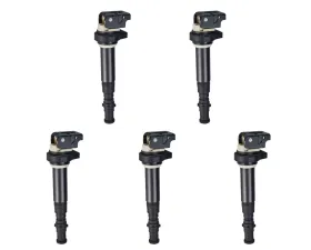 Aceon Set of 5 Ignition Coil BMW M5 | M6 5.0L 2006-2010