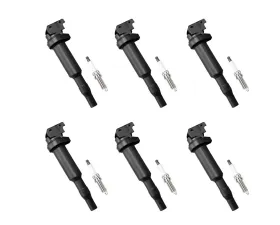Aceon Set of 6 Ignition Coil with Spark Plug BMW | Mini | Peugeot | Rolls-Royce 2001-2019
