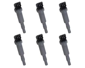 Aceon Set of 6 Ignition Coil BMW 325xi | 330xi | 525i | 525xi | 530i | 530xi 3.0L 2006