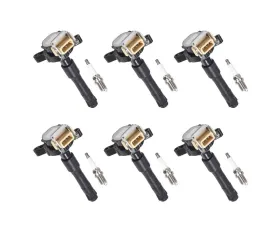 Aceon Set of 6 Ignition Coil with OE Spark Plug BMW 1995-2003