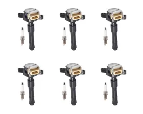 Aceon Set of 6 Ignition Coil with Spark Plug BMW 1995-2003