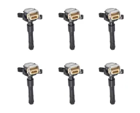 Aceon Set of 6 Ignition Coil BMW 1995-2003