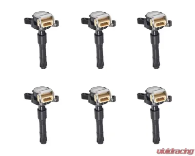 Aceon Set of 6 Ignition Coil BMW 1995-2003 - 7805-6256-06