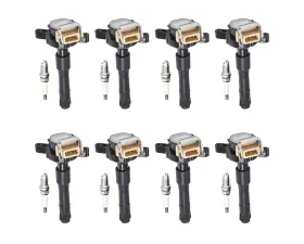 Aceon Set of 8 Ignition Coil with Spark Plug BMW 328i | 328is | 740i | 740iL | Z3 1999