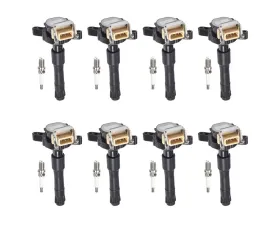 Aceon Set of 8 Ignition Coil with OE Spark Plug BMW 1995-2003