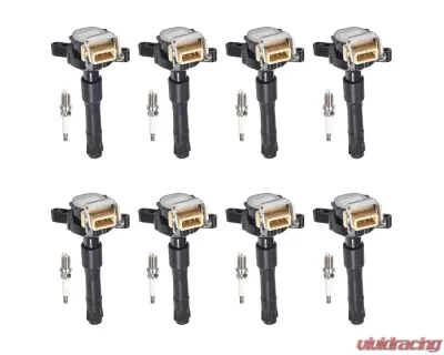 Aceon Set of 8 Ignition Coil with OE Spark Plug BMW 1995-2003 - 7805-6256-B5