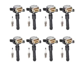 Aceon Set of 8 Ignition Coil with Spark Plug BMW 1995-2003