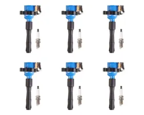 Aceon Set of 6 Blue Performance Plus Ignition Coil with OE Spark Plug BMW 1995-2003
