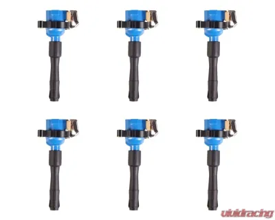Aceon Set of 6 Blue Performance Plus Ignition Coil BMW 1995-2003 - 7805-6256H-06