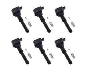 Aceon Set of 6 Ignition Coil with Spark Plug Porsche 911 | Boxster 1997-2002