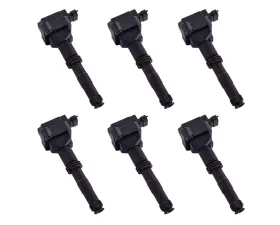 Aceon Set of 6 Ignition Coil Porsche 911 | Boxster 1997-2002