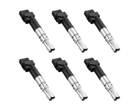 Aceon Set of 6 Ignition Coil Porsche Cayenne 3.6L V6 2011-2016