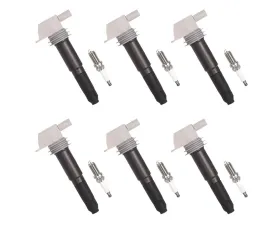 Aceon Set of 6 Ignition Coil with Spark Plug Porsche 911 | Boxster | Cayman 2009-2019