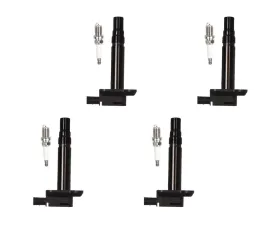 Aceon Set of 4 Ignition Coil with Spark Plug Audi | Volkswagen 1997-2007