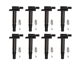 Aceon Set of 8 Ignition Coil with Spark Plug Audi | Volkswagen 1997-2007