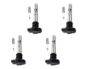 Aceon Set of 4 Ignition Coil with Spark Plug Audi | Volkswagen 1.8L 2004-2006