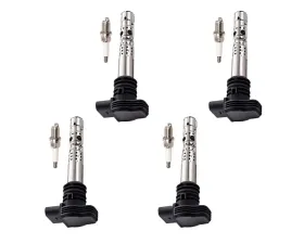 Aceon Set of 4 Ignition Coil with Spark Plug Audi | Volkswagen 2000-2006