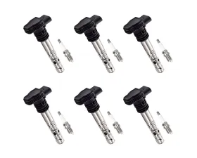 Aceon Set of 6 Ignition Coil with Spark Plug Audi | Volkswagen 1.8L 2004-2006