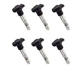 Aceon Set of 6 Ignition Coil Audi | Seat | Volkswagen 1998-2007
