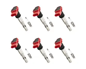 Aceon Set of 6 Ignition Coil with Spark Plug Audi A4 | A4 Quattro | A6 | A6 Quattro 3.0L 2002-2006