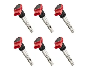 Aceon Set of 6 Ignition Coil Audi A4 | A4 Quattro | A6 | A6 Quattro 3.0L 2002-2006