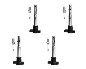 Aceon Set of 4 Ignition Coil with Spark Plug Audi | Volkswagen 2005-2010