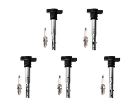 Aceon Set of 5 Ignition Coil with Spark Plug Audi | Volkswagen 2005-2017