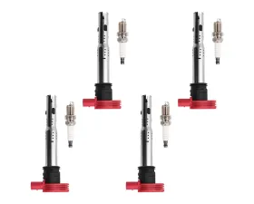 Aceon Set of 4 Ignition Coil with Spark Plug Audi | Volkswagen 2005-2019