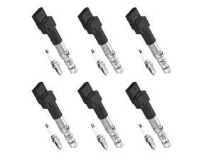 Aceon Set of 6 Ignition Coil with Spark Plug Volkswagen Jetta 2.8L V6 2003-2004