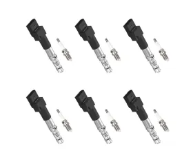 Aceon Set of 6 Ignition Coil with Spark Plug Volkswagen Golf | Jetta 2002-2005