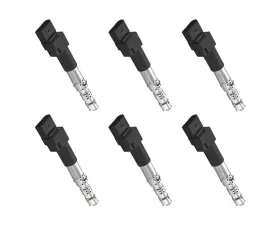 Aceon Set of 6 Ignition Coil Volkswagen Golf | Jetta 2002-2005
