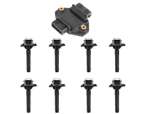 Aceon Set of 8 Ignition Coil with Ignition Module Audi | Volkswagen 1997-2005