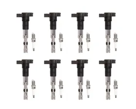 Aceon Set of 8 Ignition Coil with Spark Plug Audi S4 | Volkswagen Phaeton | Touareg 4.2L 2004-2007