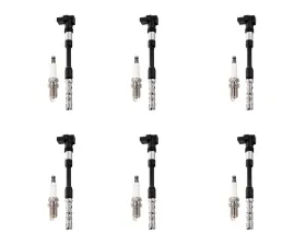 Aceon Set of 6 Ignition Coil with Spark Plug Volkswagen Eurovan 2.8L V6 2001-2003