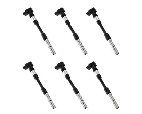Aceon Set of 6 Ignition Coil Volkswagen Eurovan 2.8L V6 2001-2003