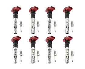 Aceon Set of 8 Ignition Coil with Spark Plug Audi A6 Quattro | A8 Quattro | Allroad Quattro | S4 4.2L 2003-2009
