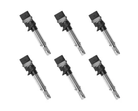 Aceon Set of 6 Ignition Coil Audi | Porsche | Volkswagen 2004-2018