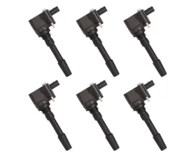 Aceon Set of 6 Ignition Coil Porsche Cayenne | Macan | Panamera 2014-2018