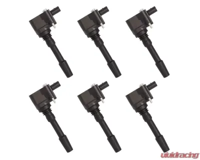 Aceon Set of 6 Ignition Coil Porsche Cayenne | Macan | Panamera 2014-2018 - 7805-6573-06