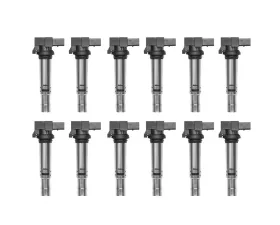 Aceon Set of 12 Ignition Coil Audi A8 Quattro 6.3L 2012-2016