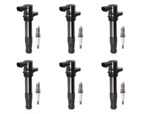 Aceon Set of 6 Ignition Coil with Spark Plug Land Rover Freelander 2.5L V6 2003-2006