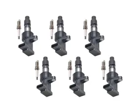 Aceon Set of 6 Ignition Coil with Spark Plug Jaguar S-Type | X-Type 2002-2008