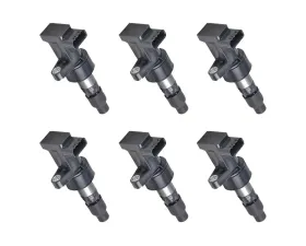 Aceon Set of 6 Ignition Coil Jaguar S-Type | X-Type 2002-2008