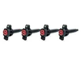 Ignition Projects High Performance Coil Set Scion xA | xB | Toyota Echo | Prius | Yaris 2001-2018